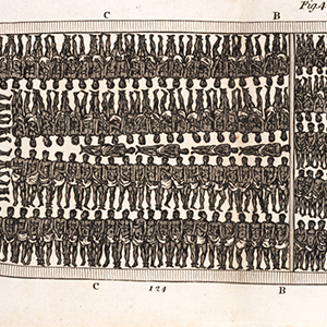 Image of a diagram of a slave ship.