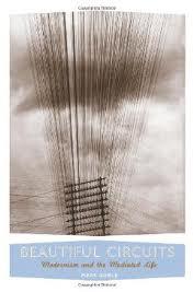 Image of the book cover art for Beautiful Circuits, with a photo of power lines and a sepia sky.