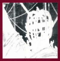 Image of Kwame Appiah's inverted-color black and white photograph of an ambiguous subject.