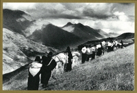 Photo of a large line of people walking through plains beside a mountain range.