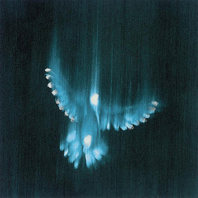 Falling Birds, Ross Bleckner, 2010