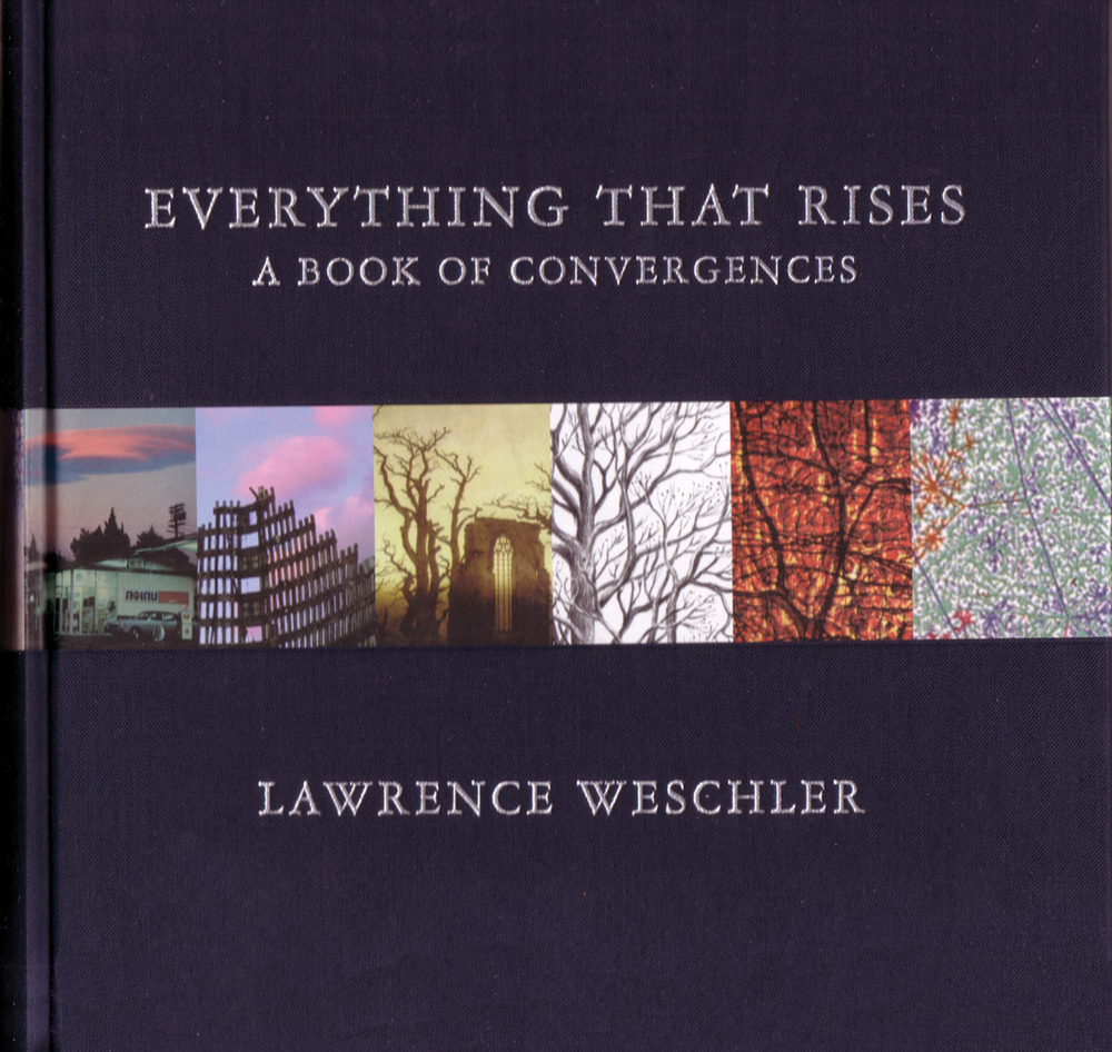 Book cover for Everything That Rises