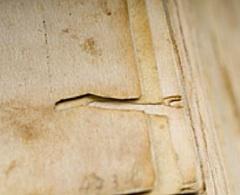 Photo of a slit worn through some old book pages, called a bookworm.
