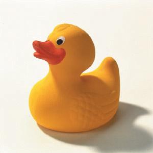Photo of a rubber duck.