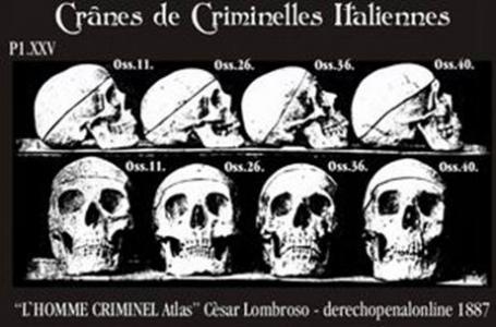 Vintage images of skulls with a French description declaring the skulls belong to Italian criminals.