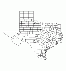 Simple image showing Texas' district lines.