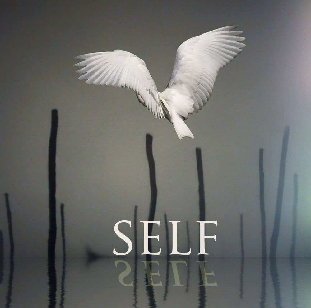 Self Book by Catherine Malabou