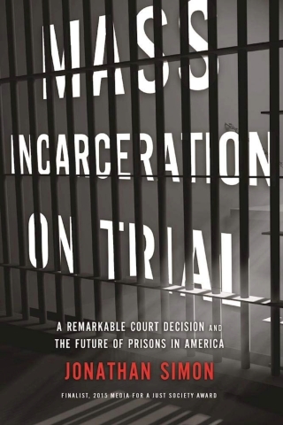 Mass Incarceration Book Cover