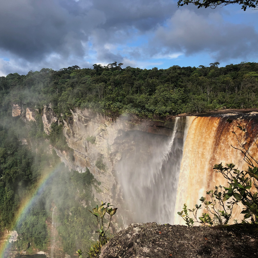 Caribbean Forrested Cliff Landscape Image