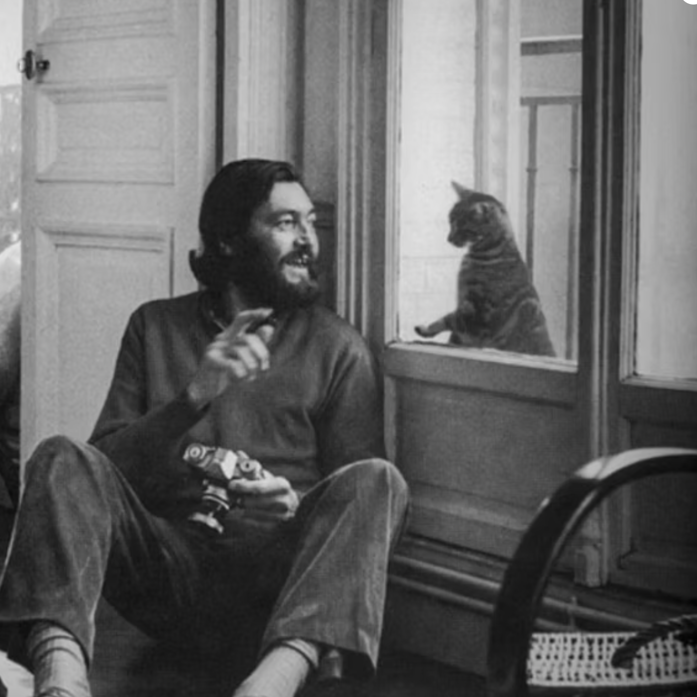 Man with Camera Speaking to a Cat in Window B&W Photo