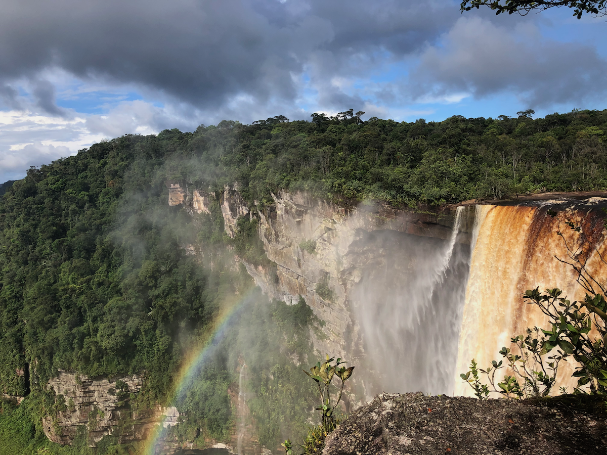 Caribbean Forrested Cliff Landscape Image